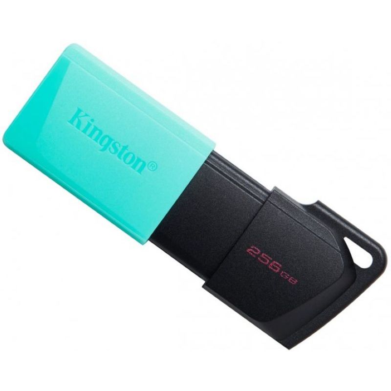 flesh-kingston-exodia-m-256-gb-black-teal-dtxm-256gb-1